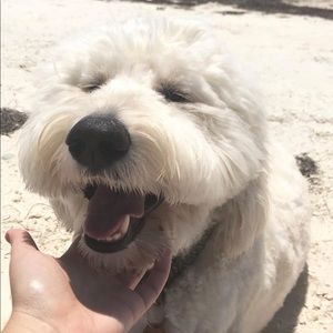 Meet your Posher, Marie